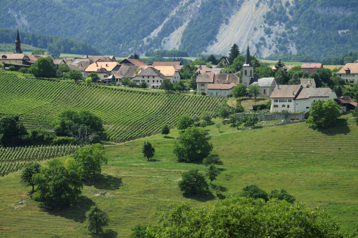 Elections à la Municipalité: les résultats du 1e tour