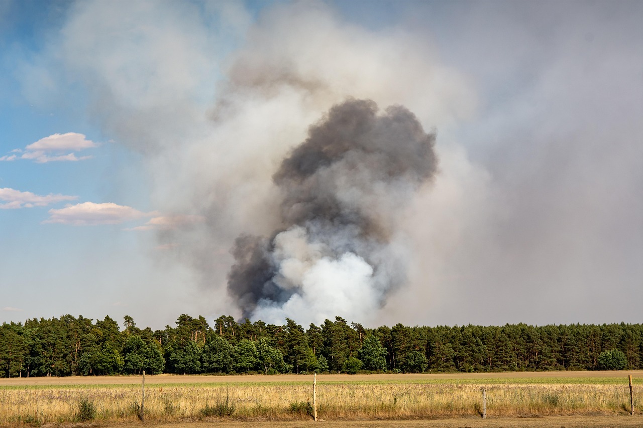 Danger d’incendie de forêt – appel à la prudence